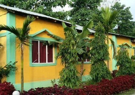 The Mystic Forest - A Tea Garden Resort At Dooars Madari Hat Buitenkant foto