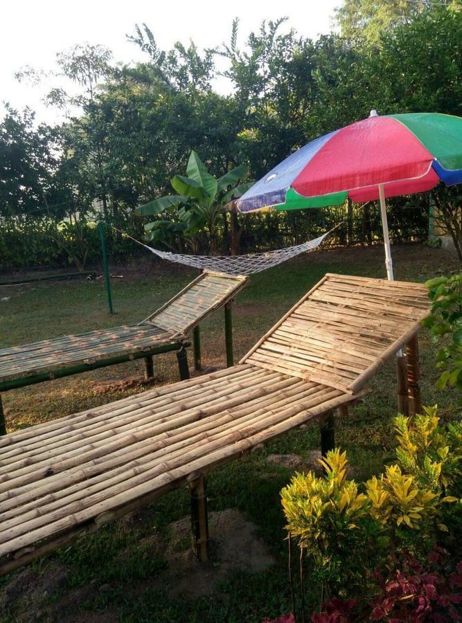 The Mystic Forest - A Tea Garden Resort At Dooars Madari Hat Buitenkant foto