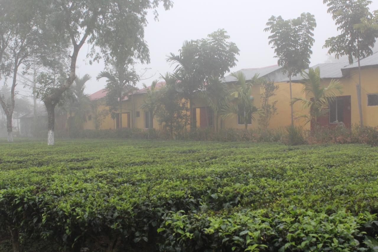 The Mystic Forest - A Tea Garden Resort At Dooars Madari Hat Buitenkant foto