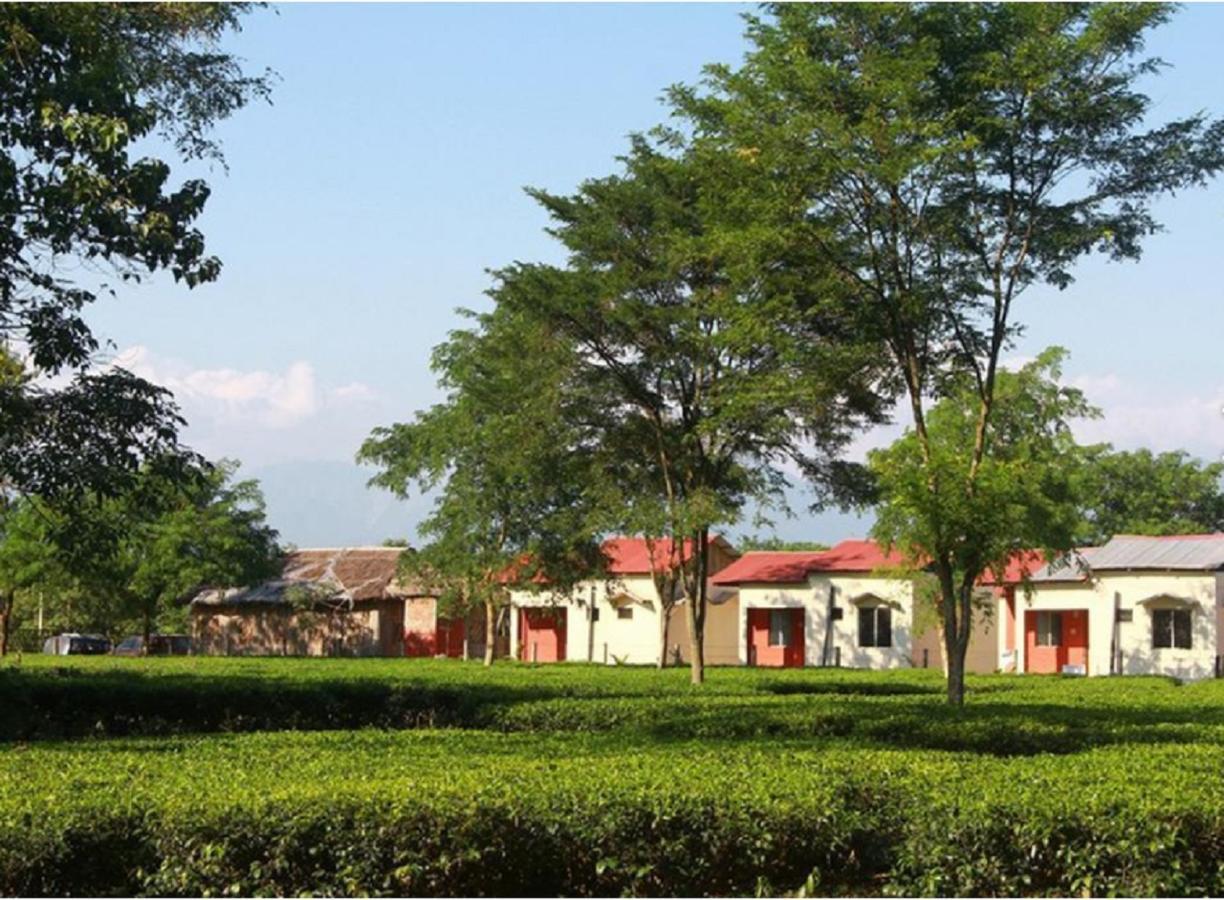 The Mystic Forest - A Tea Garden Resort At Dooars Madari Hat Buitenkant foto