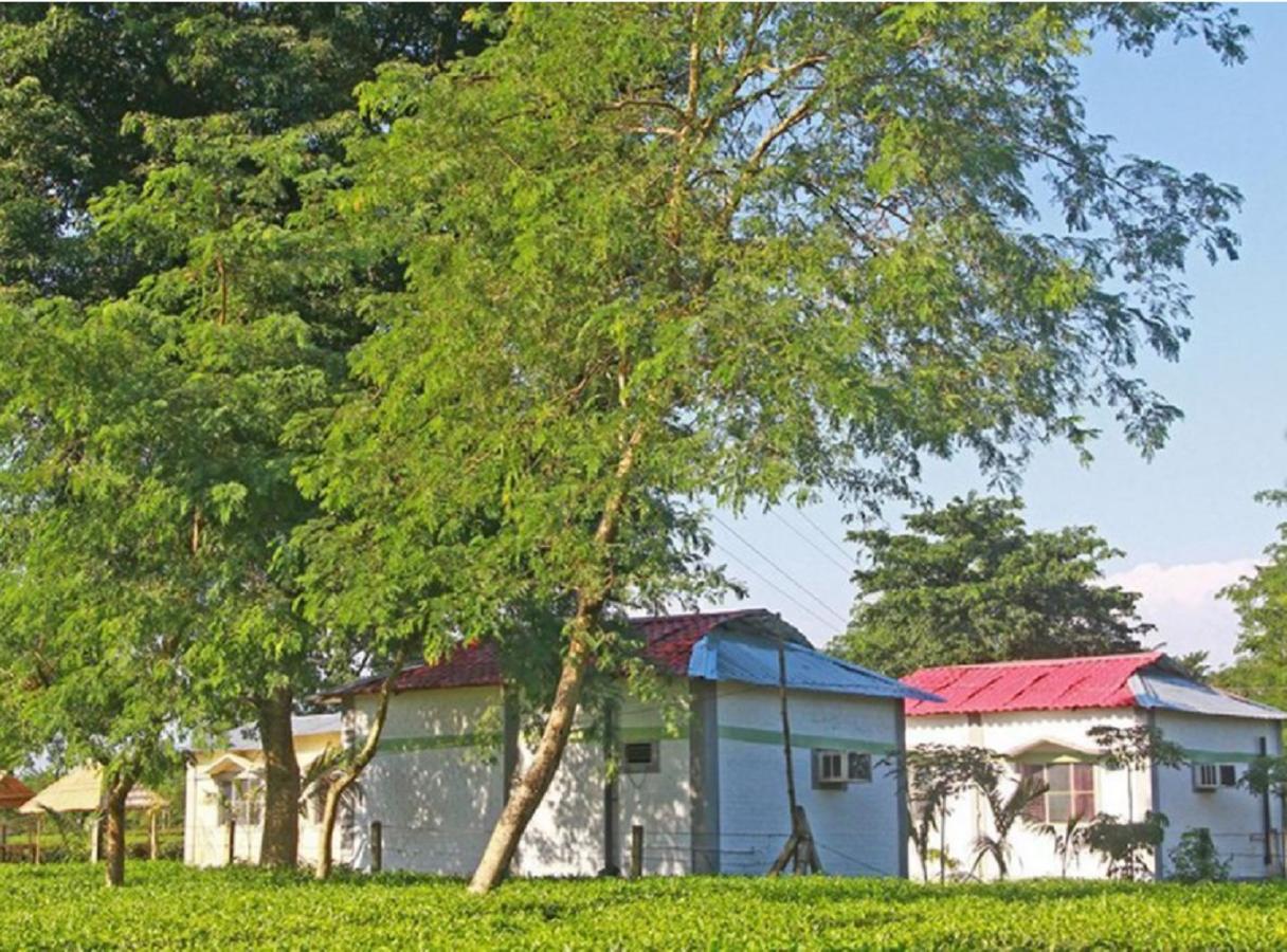 The Mystic Forest - A Tea Garden Resort At Dooars Madari Hat Buitenkant foto