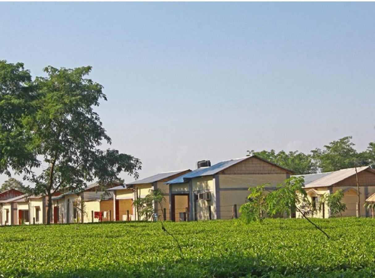 The Mystic Forest - A Tea Garden Resort At Dooars Madari Hat Buitenkant foto