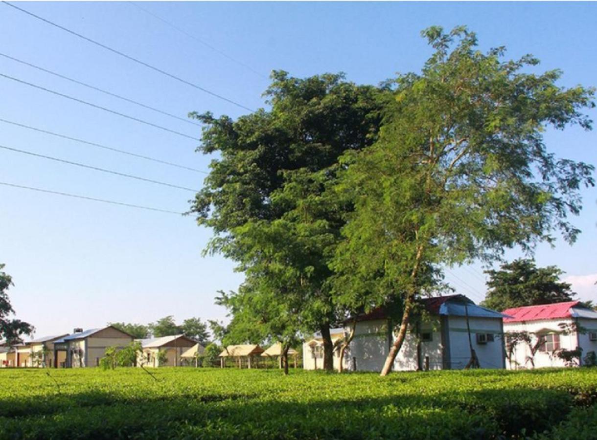 The Mystic Forest - A Tea Garden Resort At Dooars Madari Hat Buitenkant foto