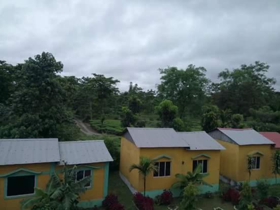 The Mystic Forest - A Tea Garden Resort At Dooars Madari Hat Buitenkant foto